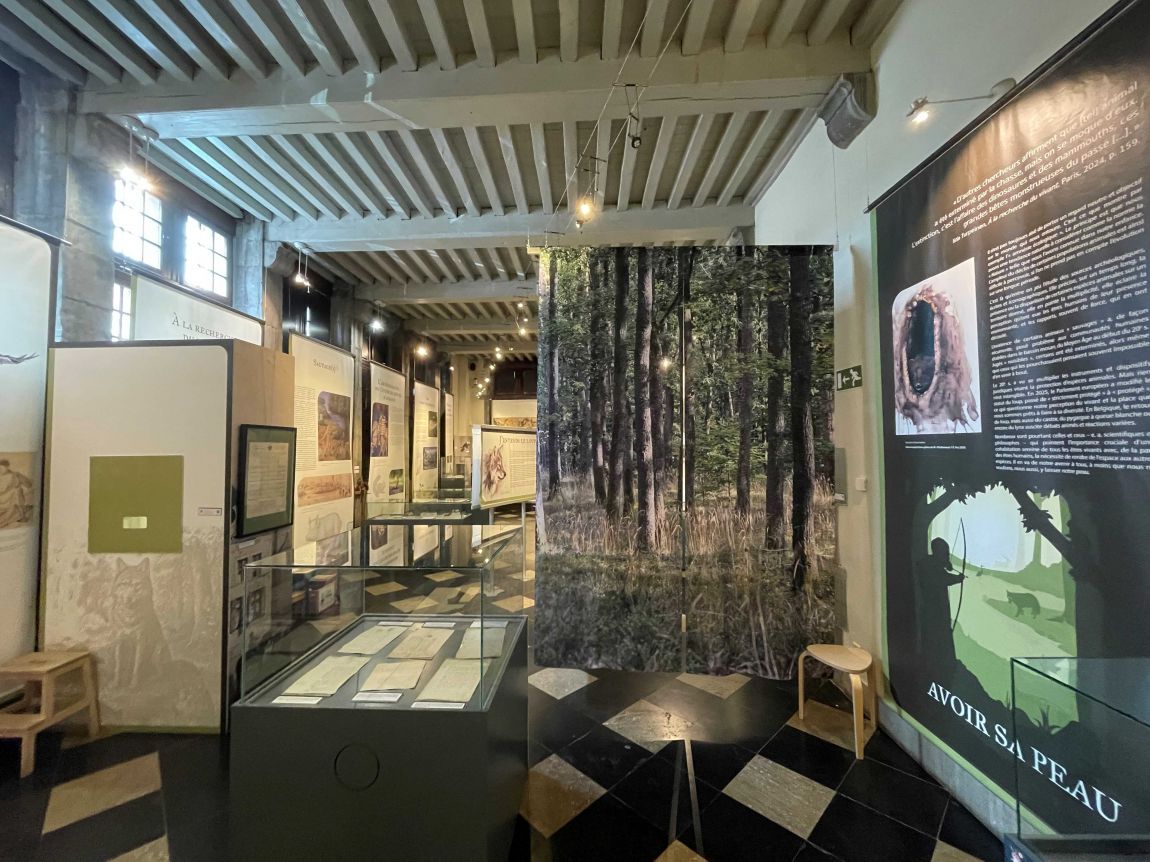 Expo Avoir sa peau vue générale 