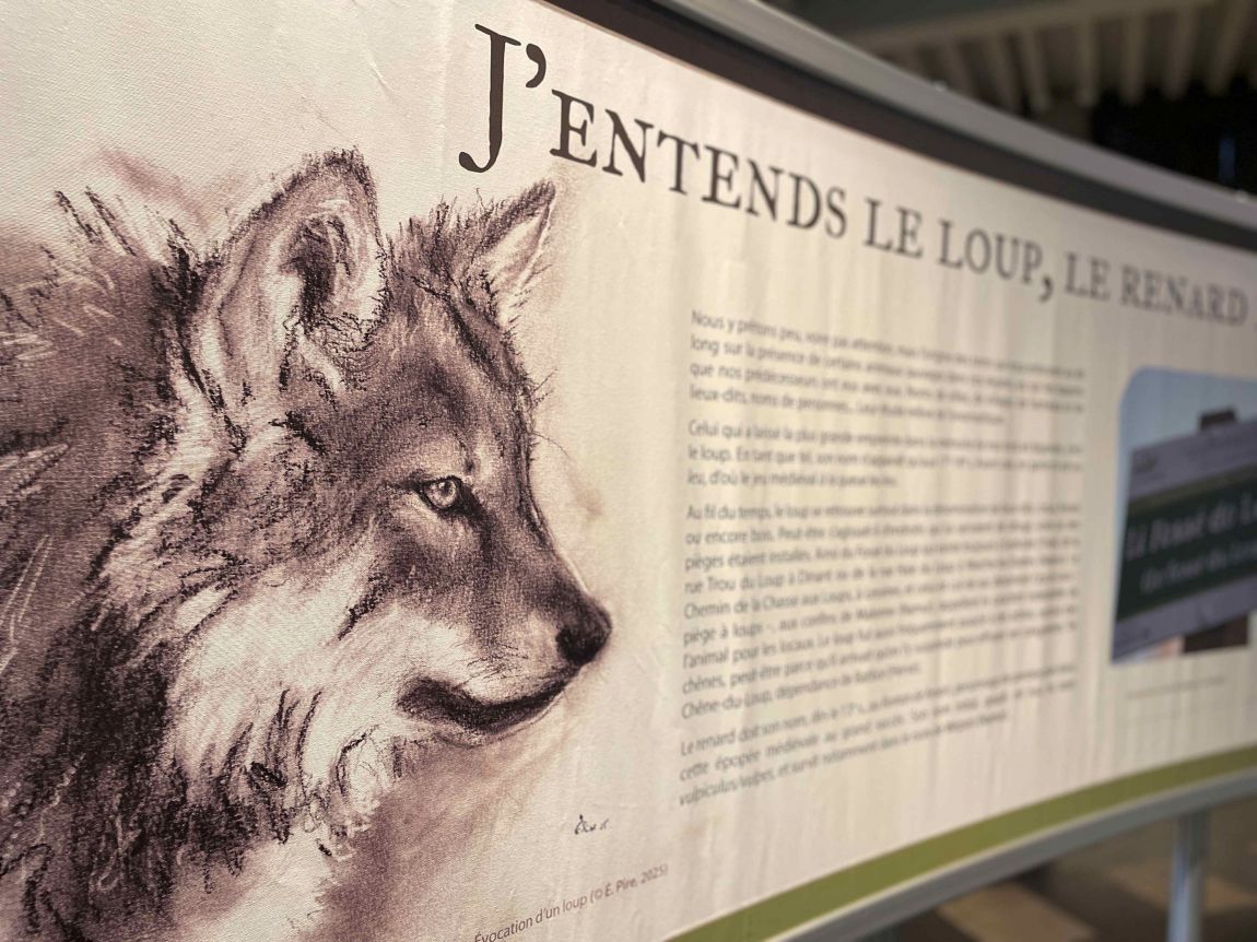 Expo Avoir sa peau vue générale