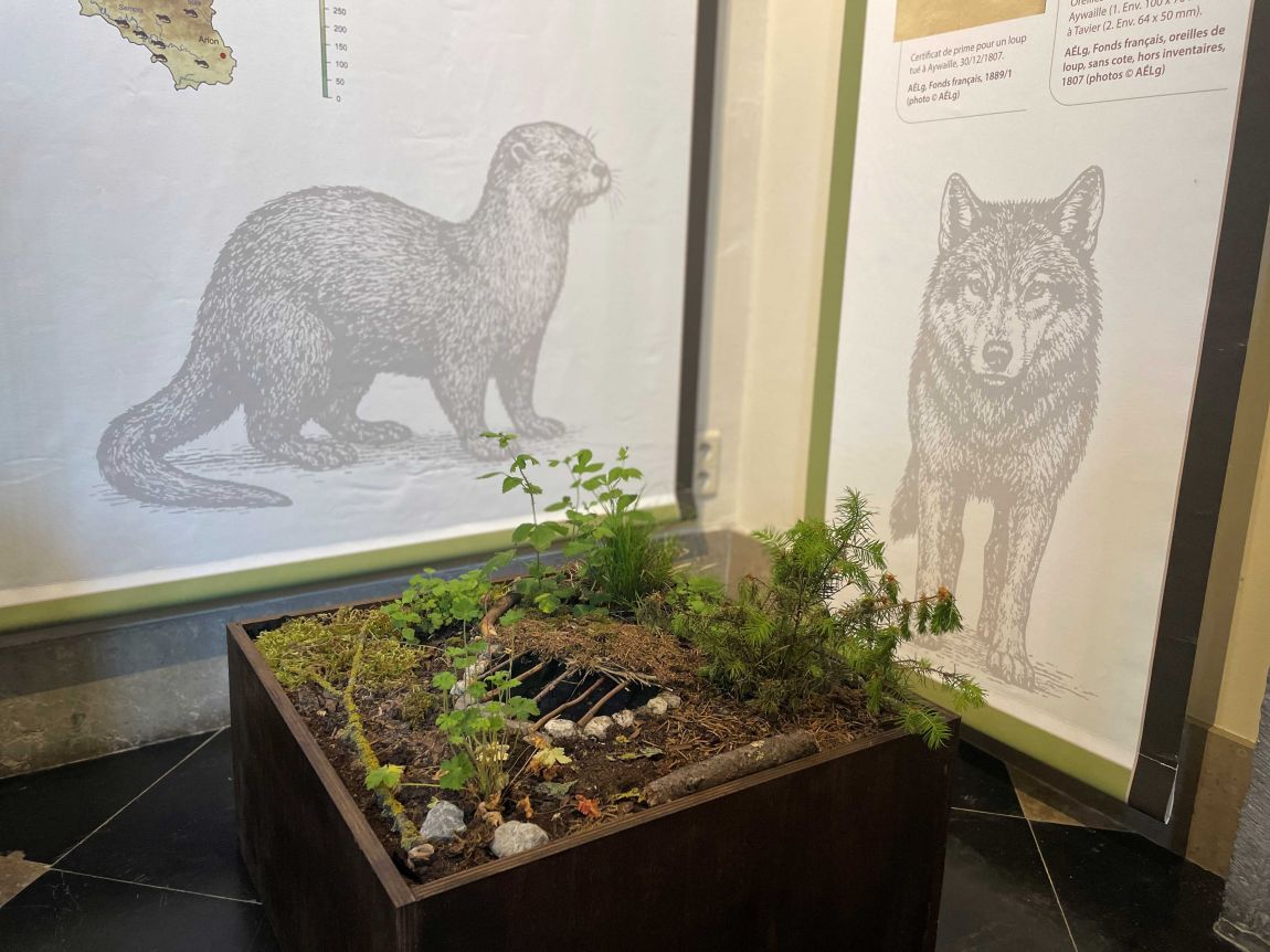 Expo Avoir sa peau maquette piège à loup